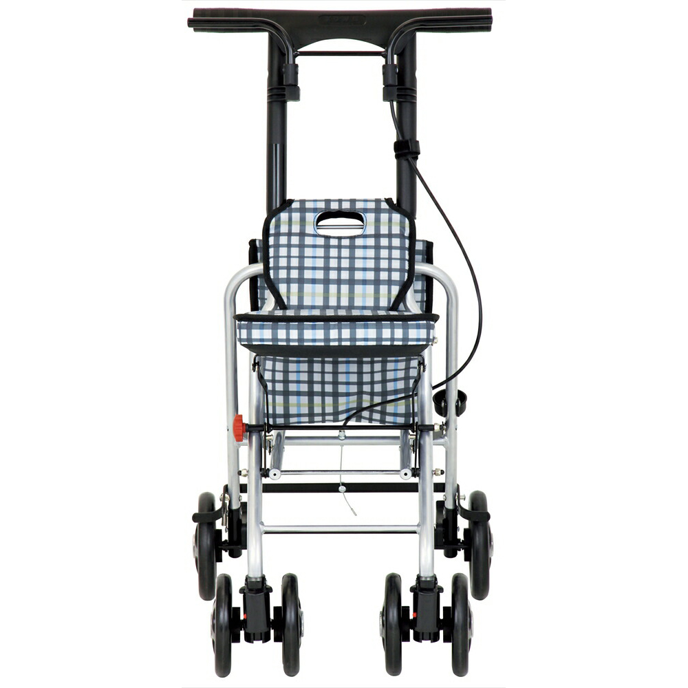 チェックブラック