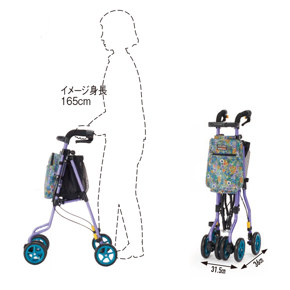 Dヴァイオレット