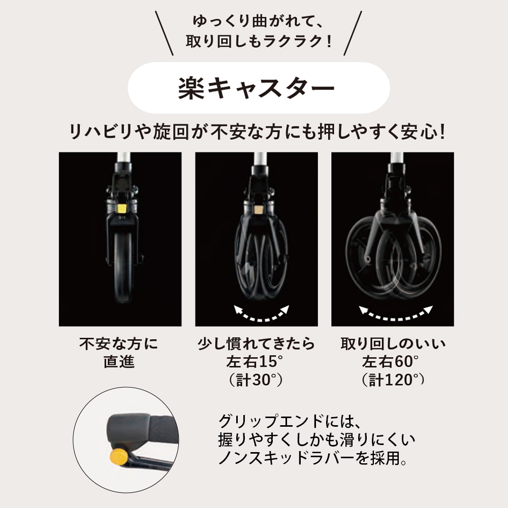 Dヴァイオレット