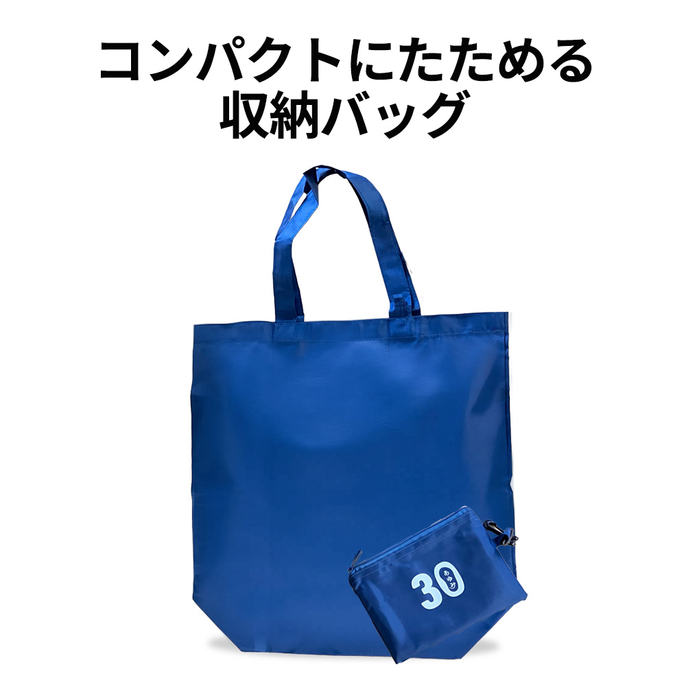 【収納バッグ付】ワイン