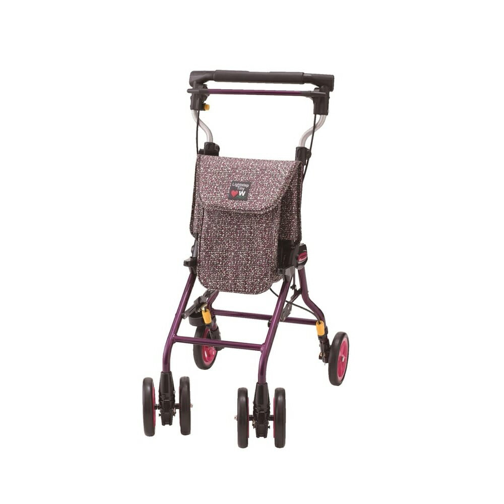 ヌーボー・モザイクパープル