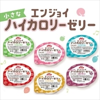 森永乳業クリニコ エンジョイ小さなハイカロリーゼリー 40g いろいろセット 計24個 (6種×4個)