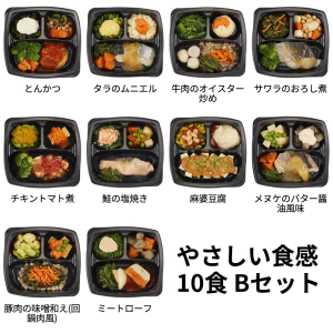 エフアールフーズ そよ風のやさしい食感10食 Bセット (とんかつ、サワラのおろし煮、麻婆豆腐など、全10種)