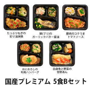 食のそよ風 国産プレミアム5食 Bセット (たっぷりねぎの彩り油淋鶏、ブリのガーリックバター醤油、豚肉のコクうまトマトソースなど、全5種)