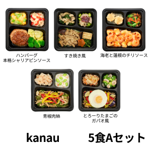 食のそよ風 kanau5食 Aセット (ハンバーグ本格シャリアピンソース、すき焼き風、海老と蓮根のチリソースなど、全5種）