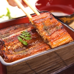 静岡 浜名湖産うなぎ蒲焼 計2尾