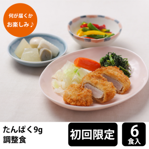 【初回購入限定】 メディカルフーズ たんぱく調整食9g 試食6食セット