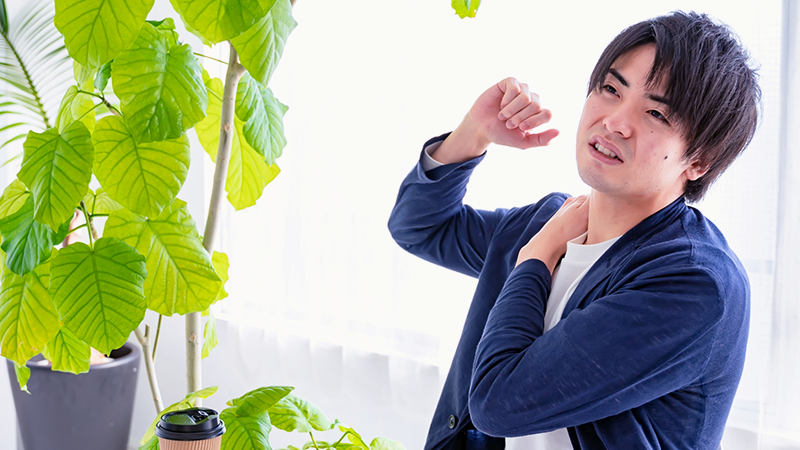 親との確執が解消して自由を感じている男性