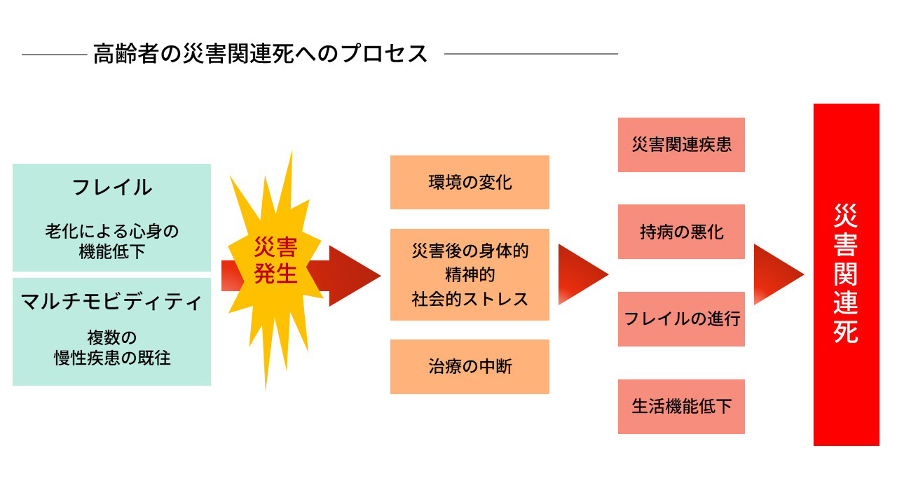 高齢者の災害関連死へのプロセス