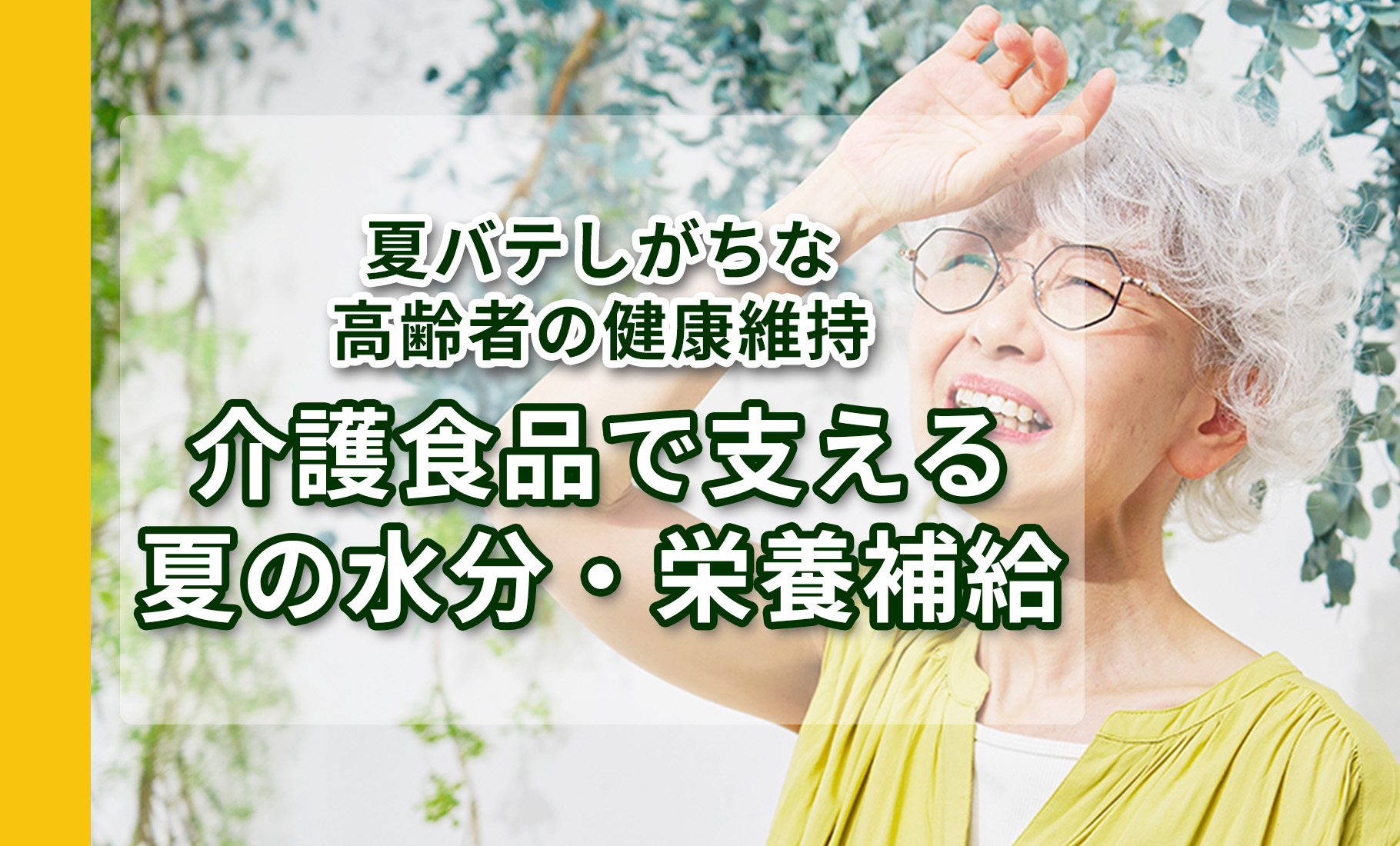 夏バテしがちな高齢者の健康維持　～介護食品で支える夏の水分・栄養補給～