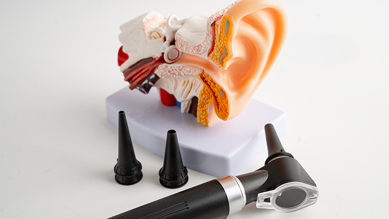 難聴の検査を説明するためのモックアップ