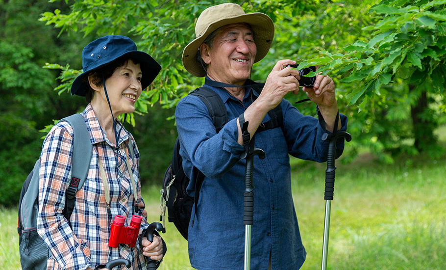 散歩でストックを利用するシニア夫婦
