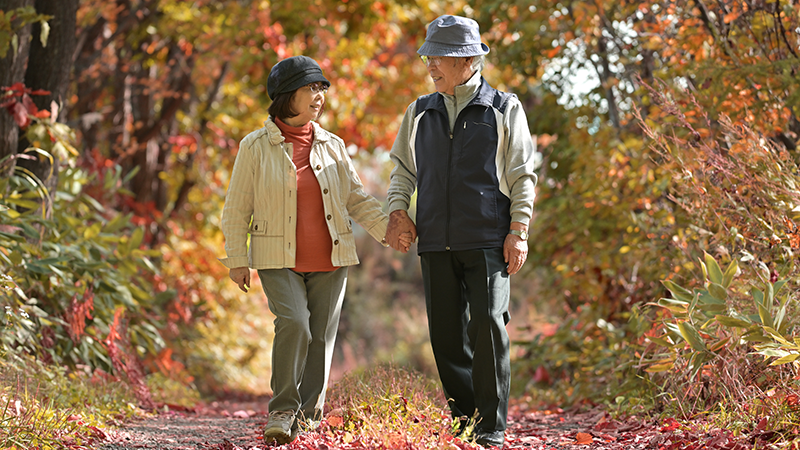 手をつないで歩くアクティブシニア